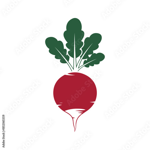Illustrated red beetroot with leaves Vector