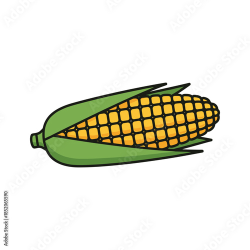 Illustrated ear of corn Vector