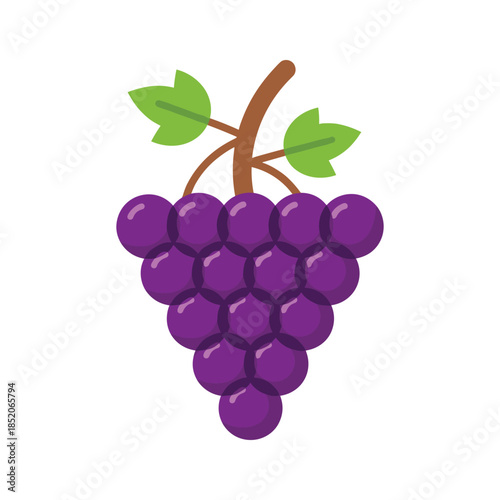 A cluster of grapes Vector