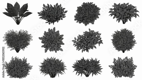 Collection of Diverse Greenery and Bushy Plants for Landscaping.