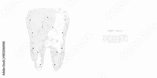 Detailed illustration of a human molar tooth with visible root structure