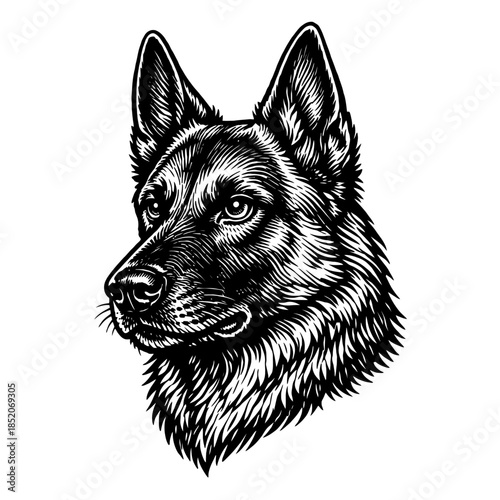 German shepherd dog head portrait line art black and white illustration