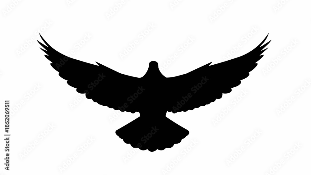 Obraz premium eagle in flight