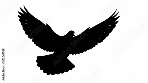 eagle silhouette vector