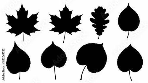Collection of Diverse Autumn Leaf Silhouettes for Seasonal Design.
