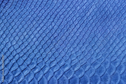 Tableau sur toile Close-up of blue snakeskin leather texture with repeating scale pattern
