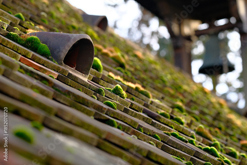 Gutter water drain moss roof chapel church old religious building stone architecture mossy roof nature weathered historical heritage antique traditional