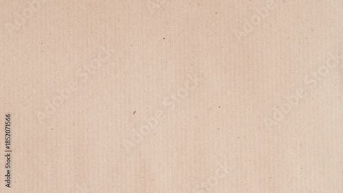 Light beige paper texture background with subtle fibers and natural vertical grain, ideal for design projects and mockup use. Natural paper simplicity, paper minimalism, paper background, copy space