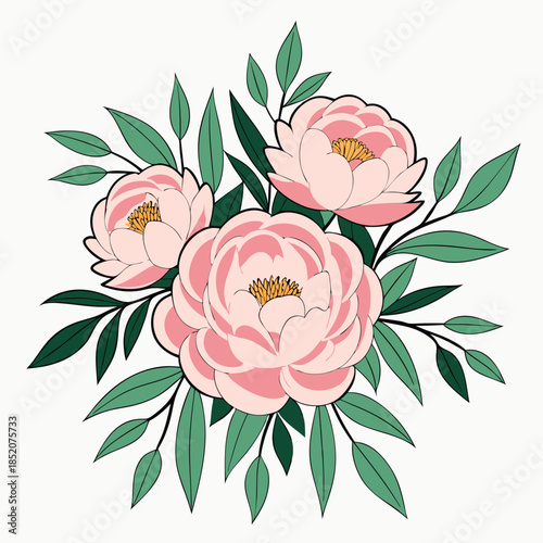 vector illustration of rose
