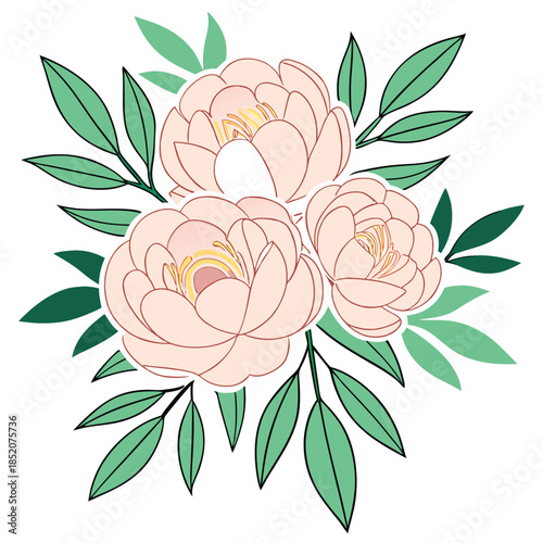 vector illustration of rose