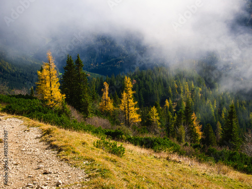 Beautiful Autumn day on a Hohe Veitsch mountain in Alps