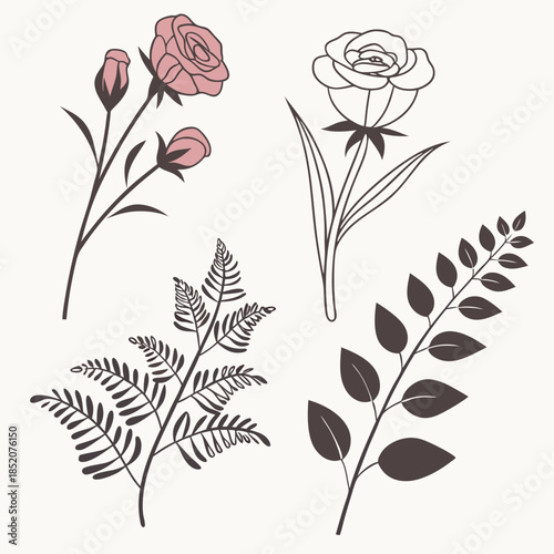 vector illustration of a rose