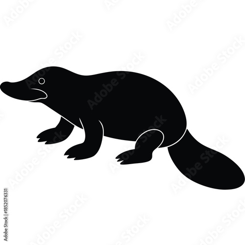 vector illustration of a seal