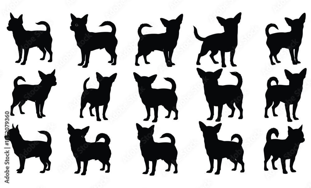 Fototapeta premium Set of cat and animal silhouettes vector icons