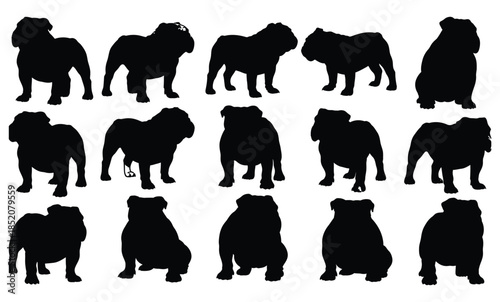 Vector silhouettes of women and wild animals set