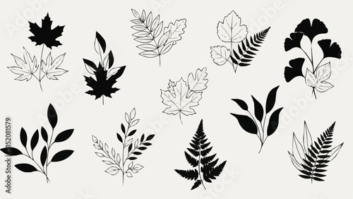 Collection of Elegant Botanical Leaf Illustrations in Black and White.
