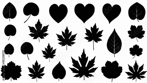 Collection of Black Silhouettes of Various Autumn Leaves and Hearts.