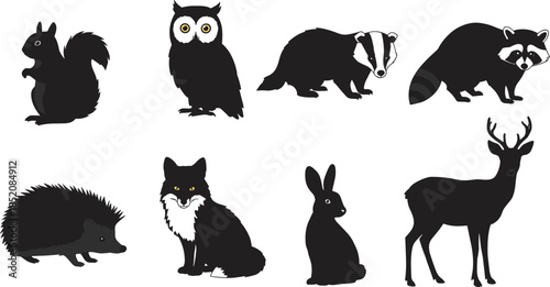 Cartoon woodland animals, squirrel, owl, badger, raccoon, hedgehog, fox, rabbit, deer, cute forest wildlife silhouettes, vector illustration design
