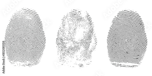 A visual comparison of three unique human fingerprint patterns used in forensics