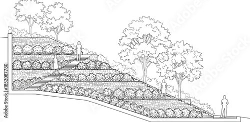 Landscape architecture section showing terraced retaining walls steps and planting design for steep slopes