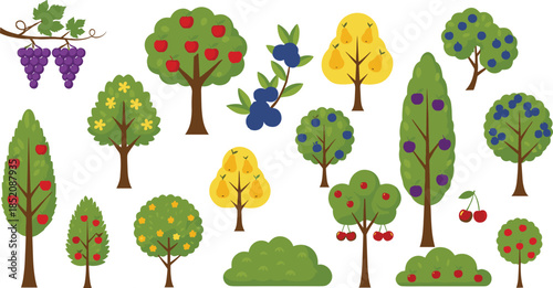 Fruit Trees And Berry Plants Collection With Apple Cherry Grape And Bush Shapes Isolated On White Background Flat Vector Illustration