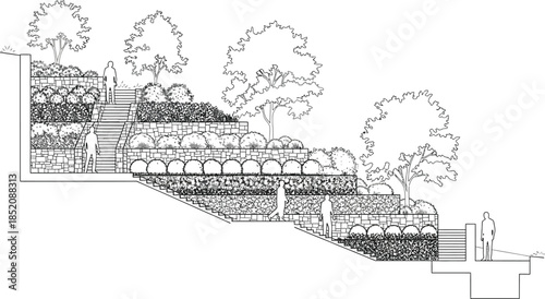 Architectural cross section drawing illustrating tiered retaining wall landscape design with stone and vegetation