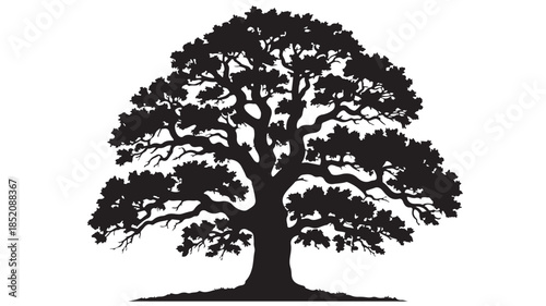 Majestic Oak Tree Silhouette in Dramatic Black and White with Intricate Branches for Environmental Conservation