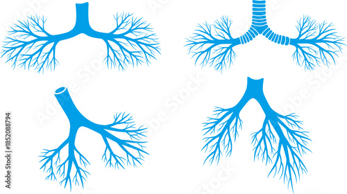 Bronchial tree illustration, human respiratory anatomy, lung airway diagram, medical education graphic, stylized trachea, bronchial branches, anatomical lung structure, healthcare concept