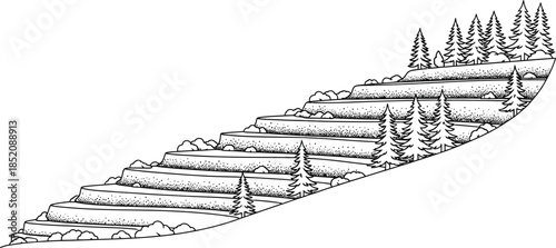 Minimalist black and white illustration of terraced rice fields or mountain steps with pine trees growing along the levels