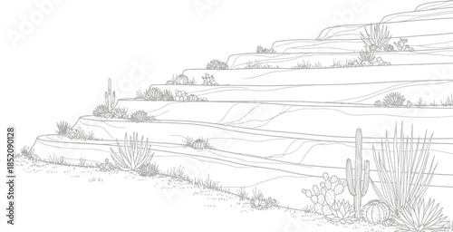 Black and white line art illustration of terraced desert landscape featuring various cacti and succulent plants