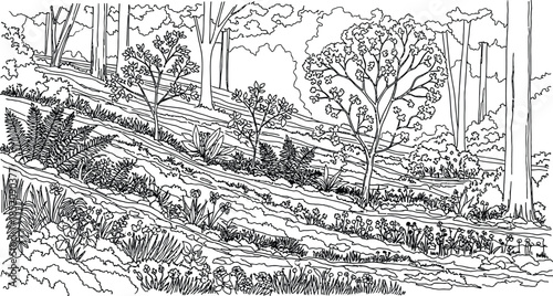 Detailed black and white line art coloring page depicting a lush forest landscape with wildflowers and ferns
