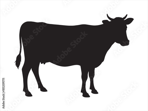 Cow graphic icon. Cow black silhouette isolated. Vector illustration