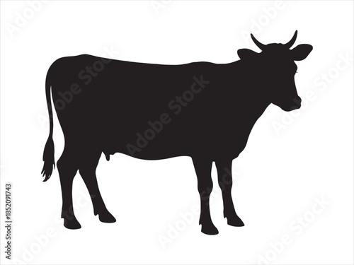 Cow graphic icon. Cow black silhouette isolated. Vector illustration