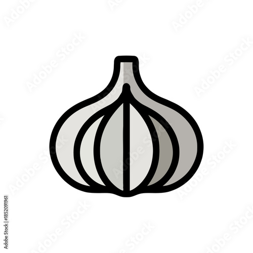 Illustration of garlic Vector on white background