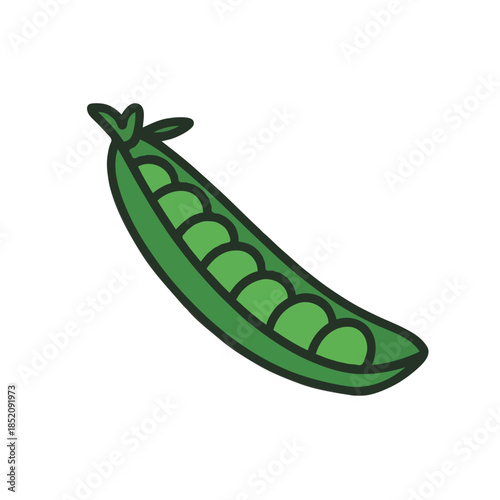 Single green pea pod Vector on white background