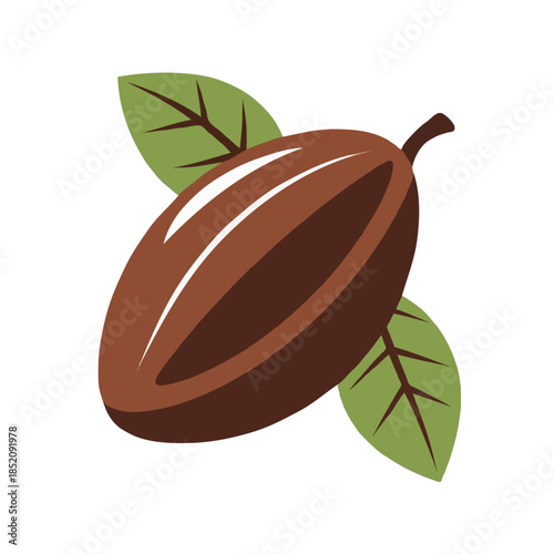 Single cocoa bean with leaves Vector on white background