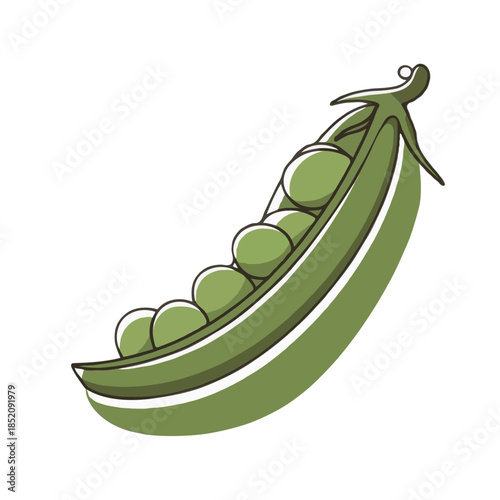 Illustrated green pea pod Vector on white background