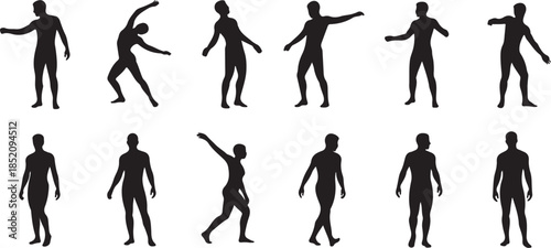 Human body pose silhouettes collection for exercise