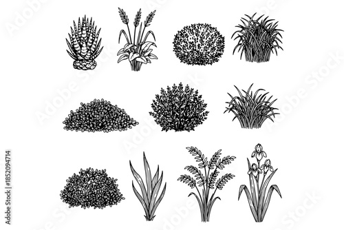 set of CAD Shrubs,
Minimal CAD Shrubs Line Set – Ground Cover and Grass Section for Architectural Elevations