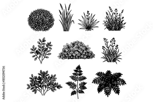 set of CAD Grass,
Minimal CAD Grass Line Set – Ground Cover and Grass Section for Architectural