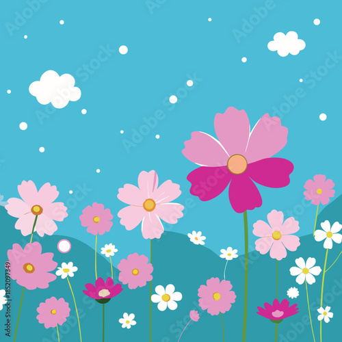 Field-of-cosmos-flowers-under-clear-sky 