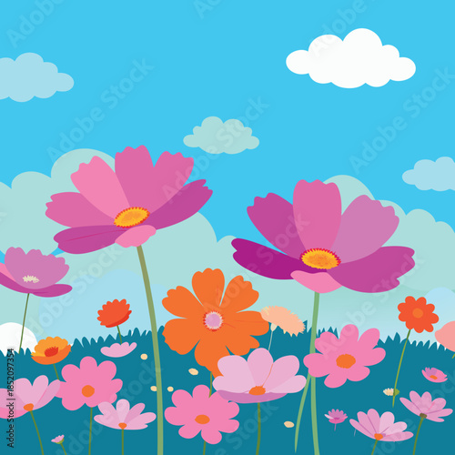 Field-of-cosmos-flowers-under-clear-sky 