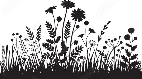 wildflower botanical silhouette composition of meadow plants and grasses