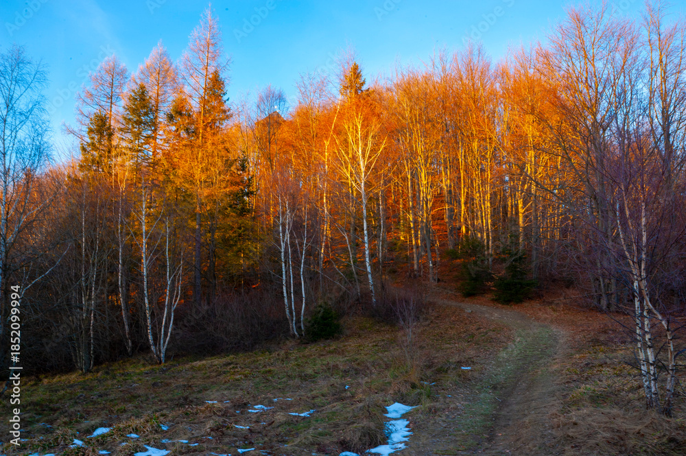 Fototapeta premium Beskid Sądecki jeśnienne klimaty 