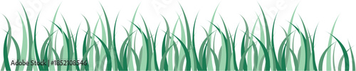 Green grass border with fresh blades on white background. Natural meadow edge illustration with realistic leafy texture. Decorative nature element for landscaping, banners and eco design projects.