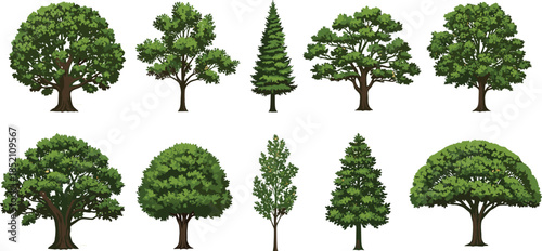 Set of Ten Various Green Trees, Including Oak, Pine, and Different Deciduous Species, Isolated on a White Background, Nature, Forest, Ecology, Vector