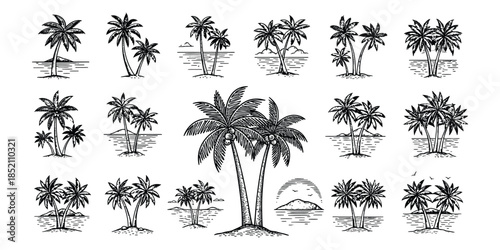 	
palm trees on the beach engraving outline vector art illustration design, palm tree silhouette, hand drawn beach drawing, line art palm tree, sea, beach, summer view, vintage palm tree on sea beach