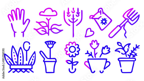 Gardening tools and plants