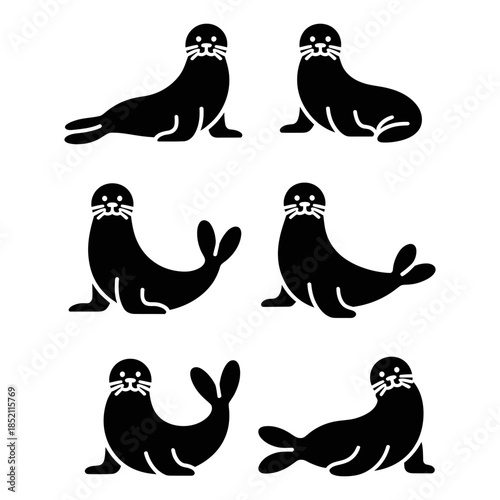 vector silhouettes of seal