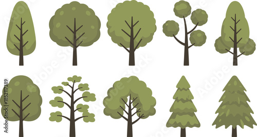 Tree Illustration Set with Various Green Deciduous and Conifer Trees Flat Vector Collection